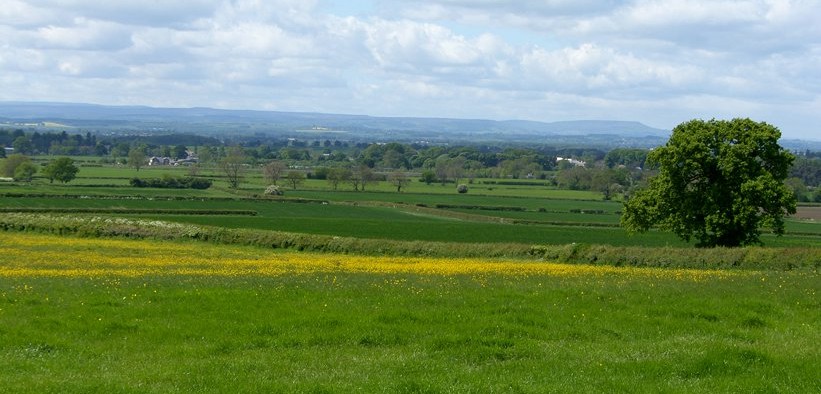 Views of the Yorkshire countryside