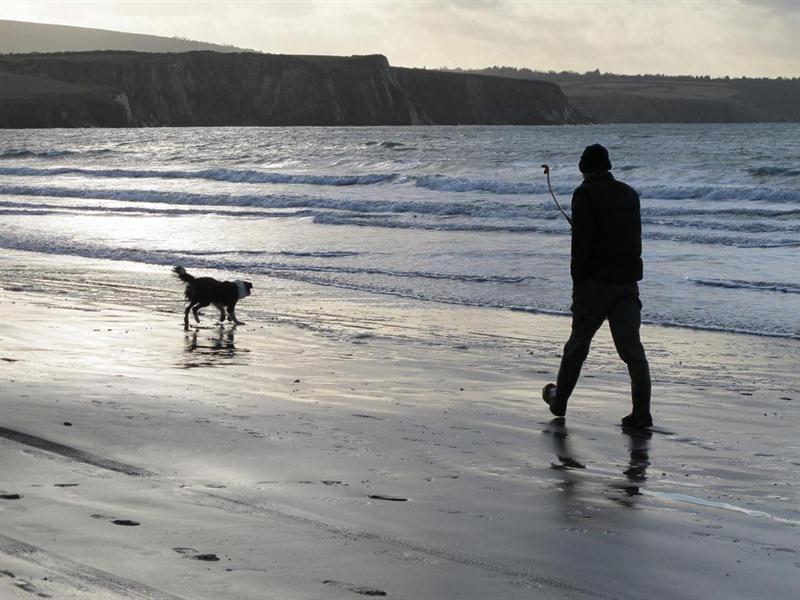 Man walking his dog on the beach