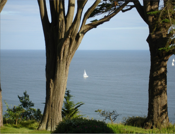 View through trees to the sea