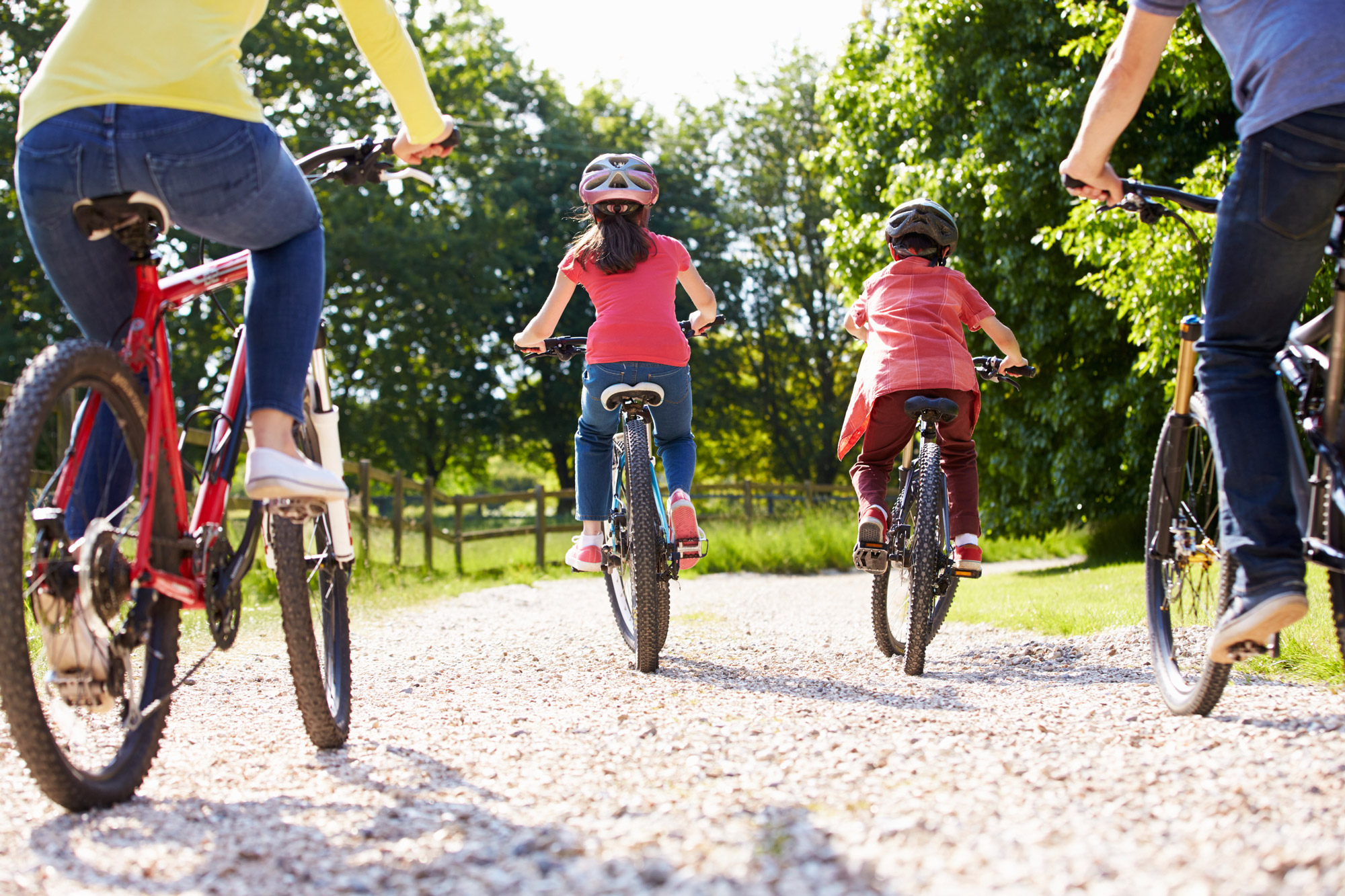 Family riding on bicycle 