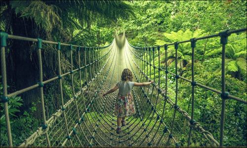 Child crossing the Burmese Rope Bridge at The Jungle, Heligan