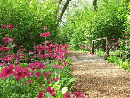 FAIRHAVEN WOODLAND AND WATER GARDEN IN BLOOM