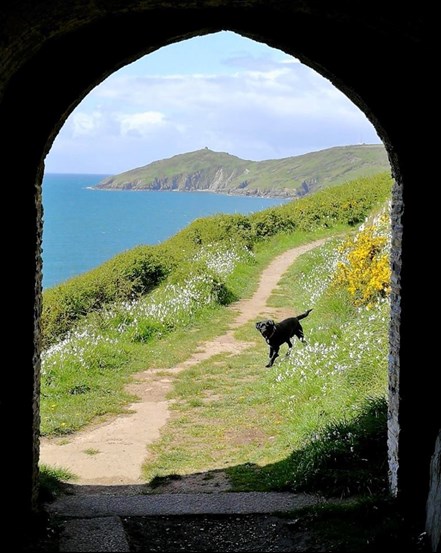 Rame Head Chapel