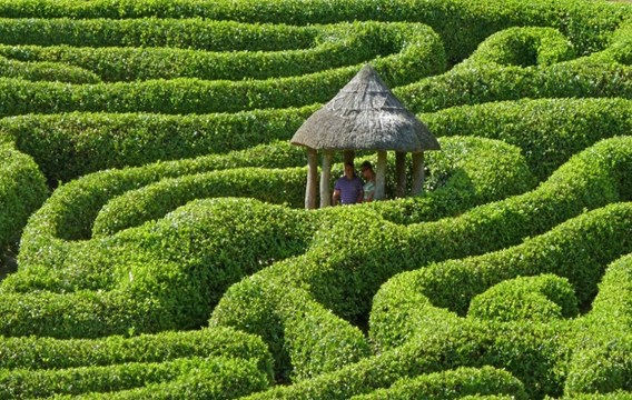 Glendurgan Garden