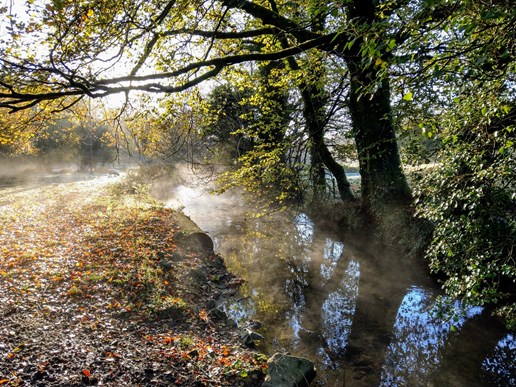 Riverside Walks