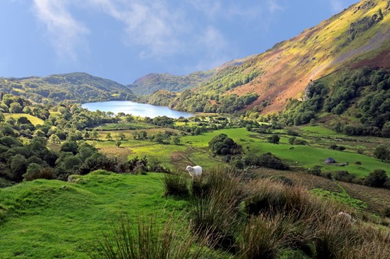 Snowdonia