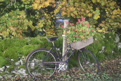 Bike perched near some trees and flowers