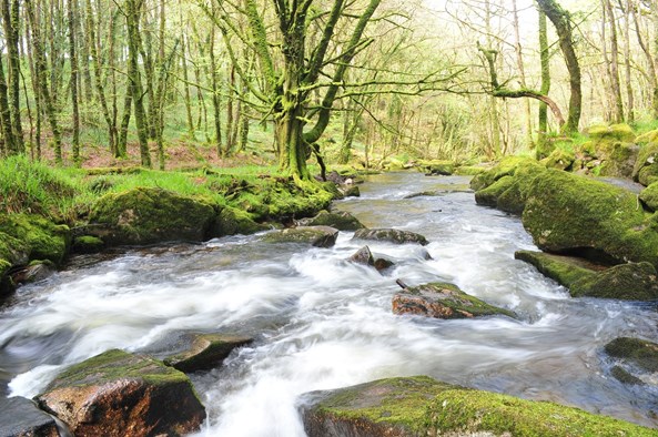 Golitha Falls, Cornwall