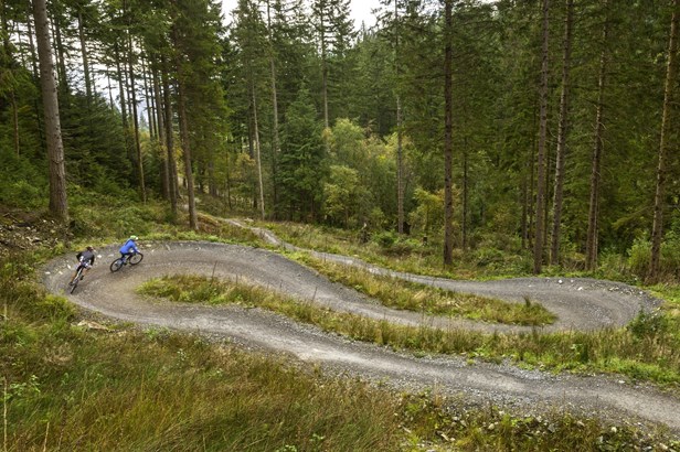 Mountain biking Wales