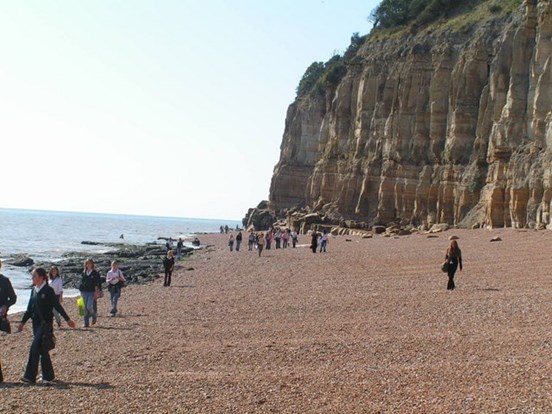 Fairlight Beach