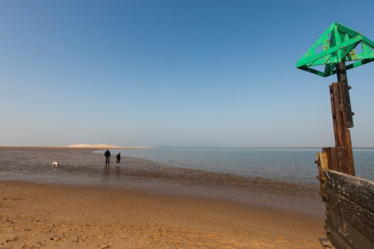 Norfolk Coast