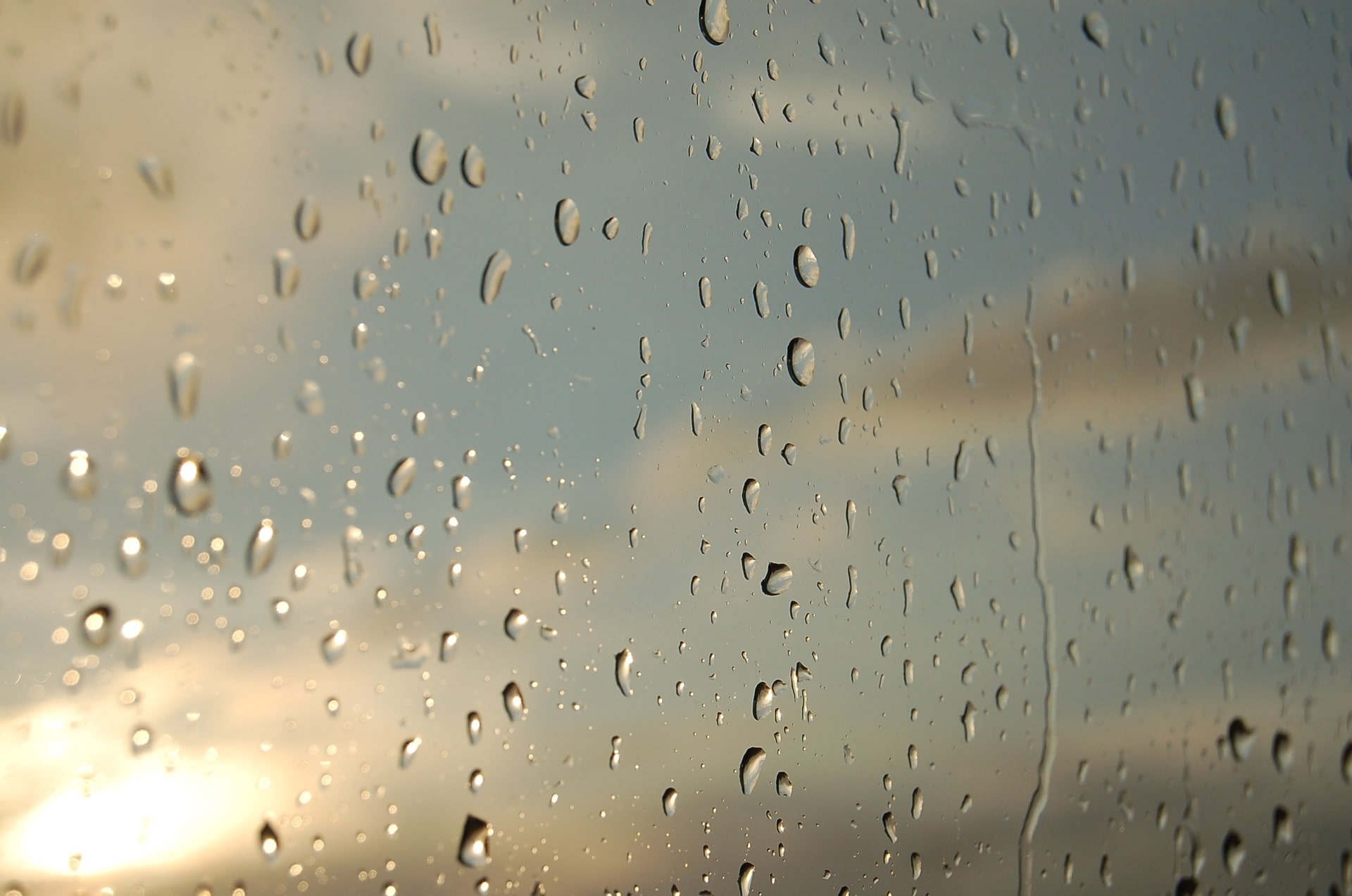 Droplets of rain against a window