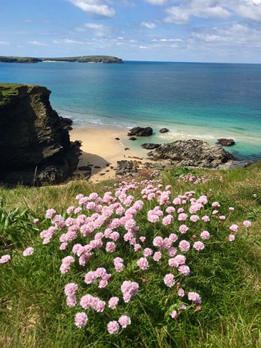 Trevone to Trevose views