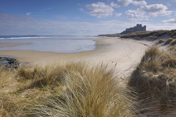Sand and sea at the Northumberland coastline