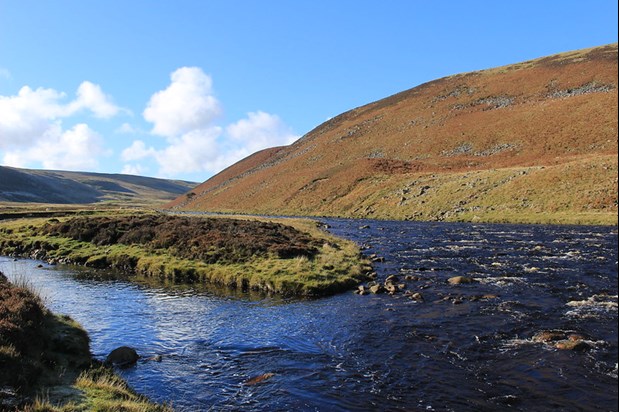 Island in the river Tees as it flows beneath Cronkley Scar