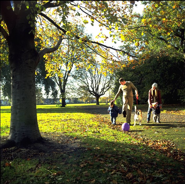 Family of 4 walking on a leafy path in a park