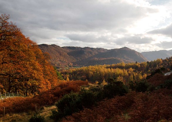 Borrowdale