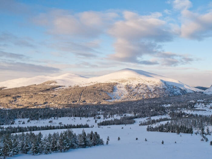 Cairngorms National Park, Scotland