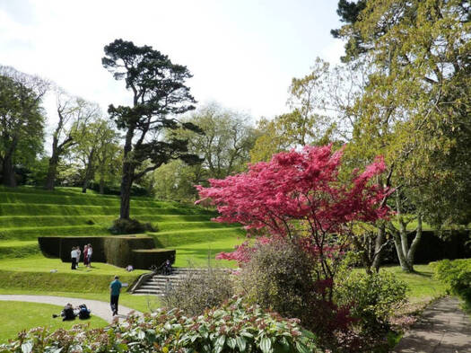 Darlington Hall Gardens