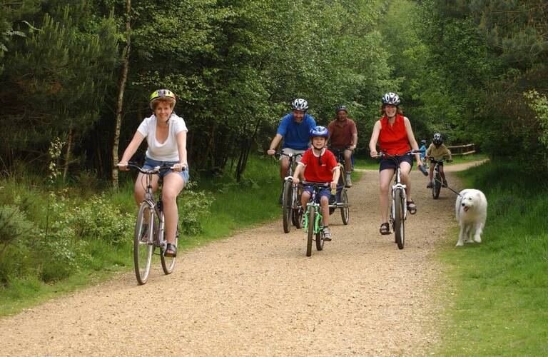 Family cycling through a forest with a dog