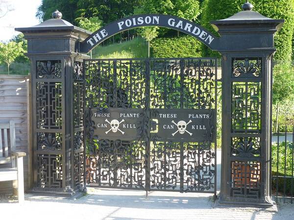 The Poison Garden in Alwnick