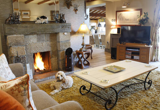 Holiday cottage with a real fire