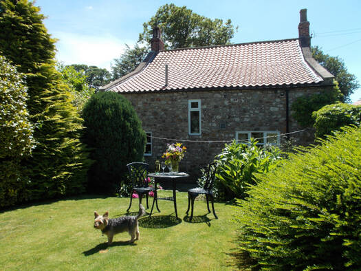 Luxury dog-friendly cottage