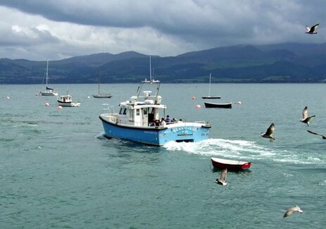 Rib rides Wales