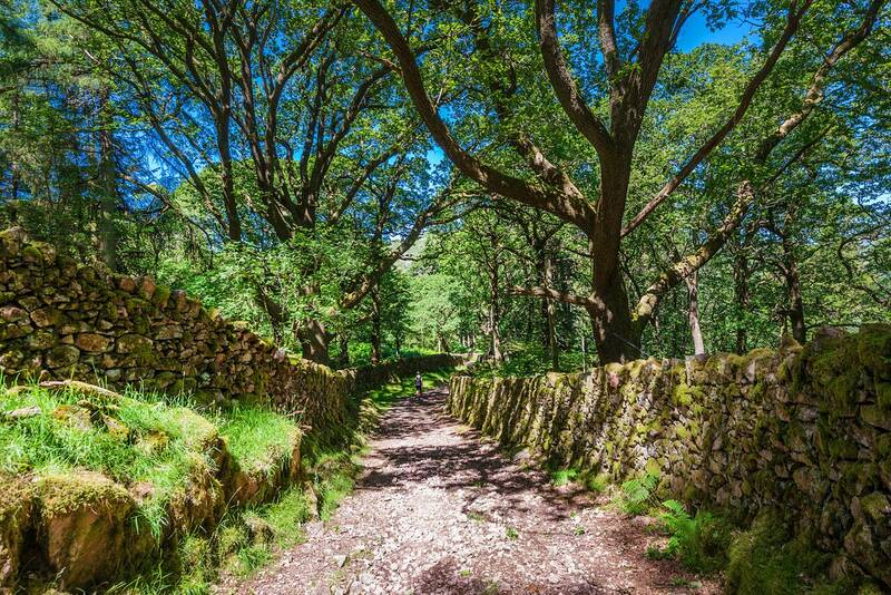 Footpath in the Eskdale Valley, Cumbria
