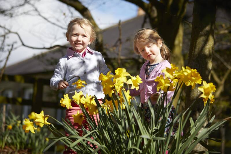 Children in the daffodils