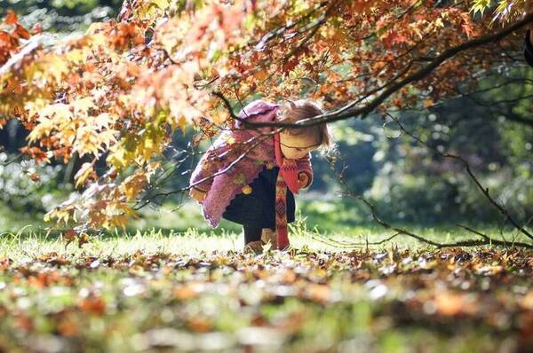 Child picking leaves in an Autumn tree landscape