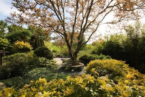 The Cottage Beyond Somerset