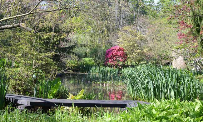 Garden with Large Pond at Mirefoot, Cumbria