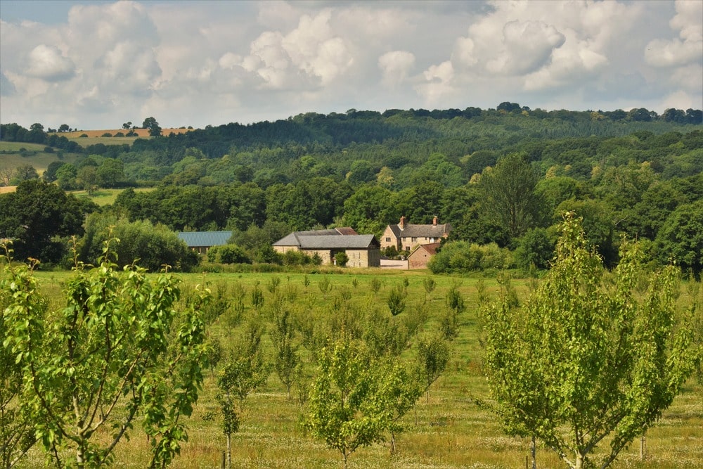 Great Barn, Hereforshire, View across the Pear Orchard