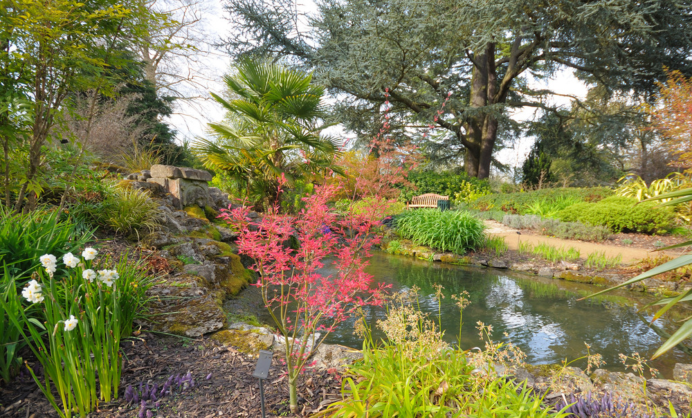 Spring Garden with Flowers Blooming