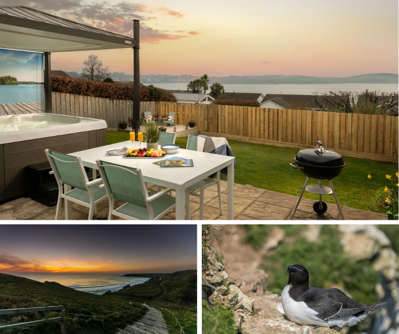 Coastal holiday retreat with sea-view garden, hot tub and BBQ, nearby clifftop walks and local wildlife including seabirds.