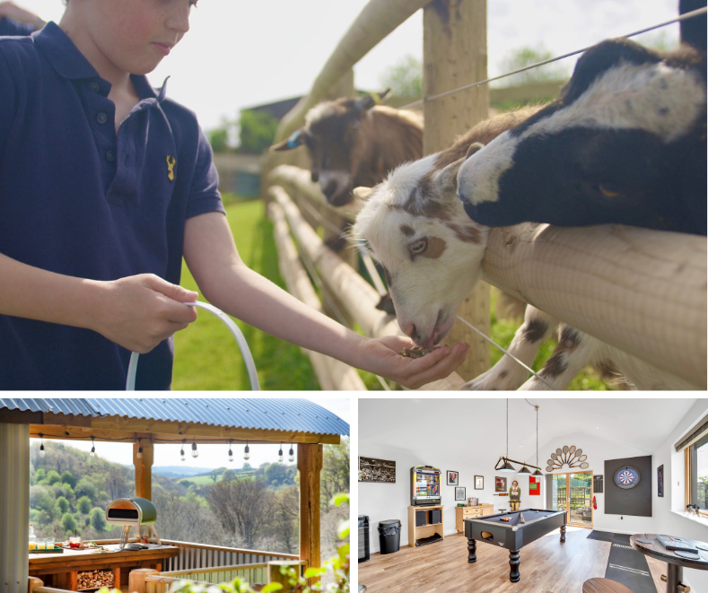 Child feeding goats through a fence, rustic open-air kitchen with countryside views, and a lively indoor games room with pool table and dartboard.