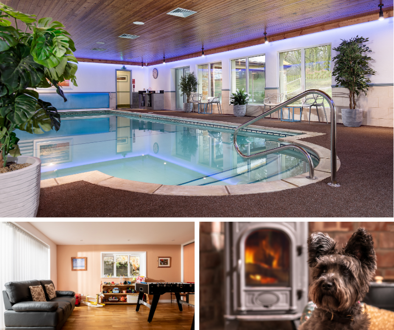 Indoor swimming pool with dog by log burner and a games room