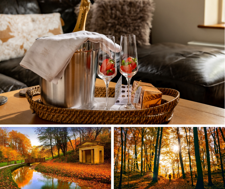 Champagne on table with autumn leaves and woodlands