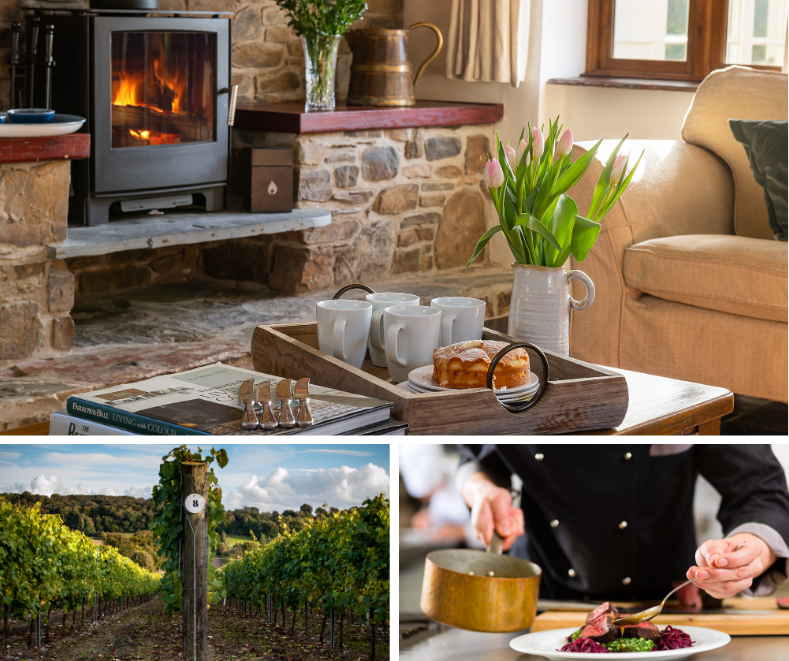 Cosy cottage living room and vineyard with private chef