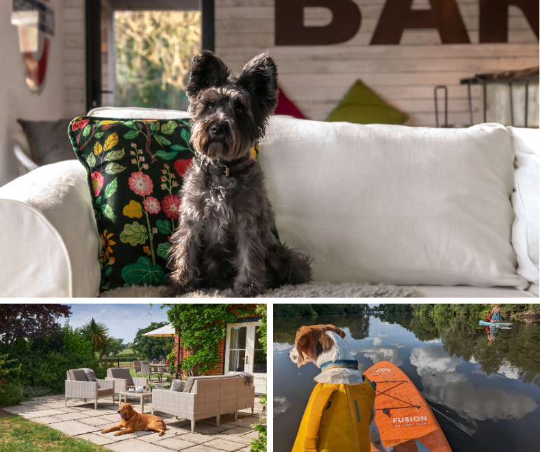 Dog friendly holiday cottages in the UK