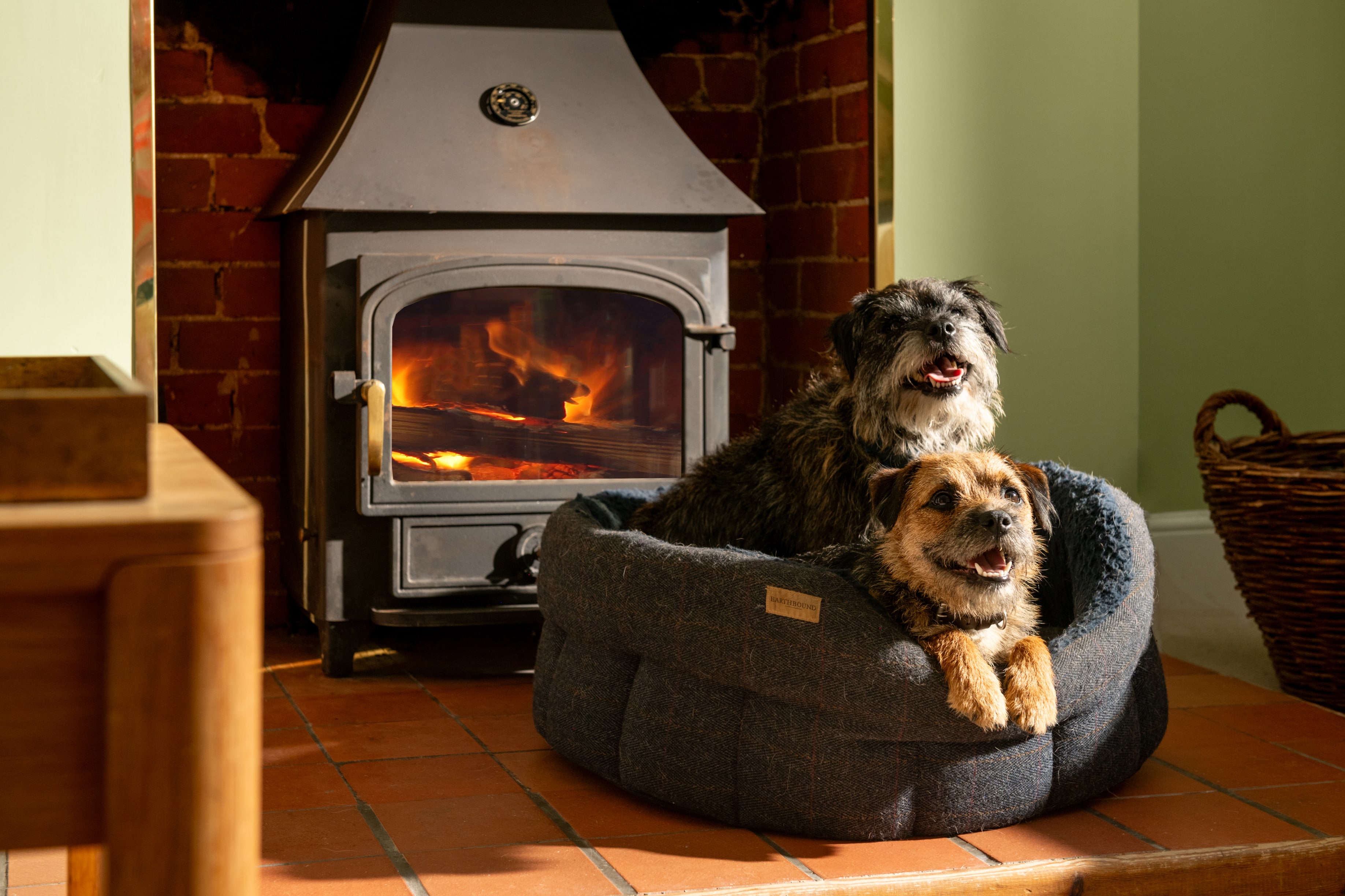 Dogs in basket by log burner in cottage