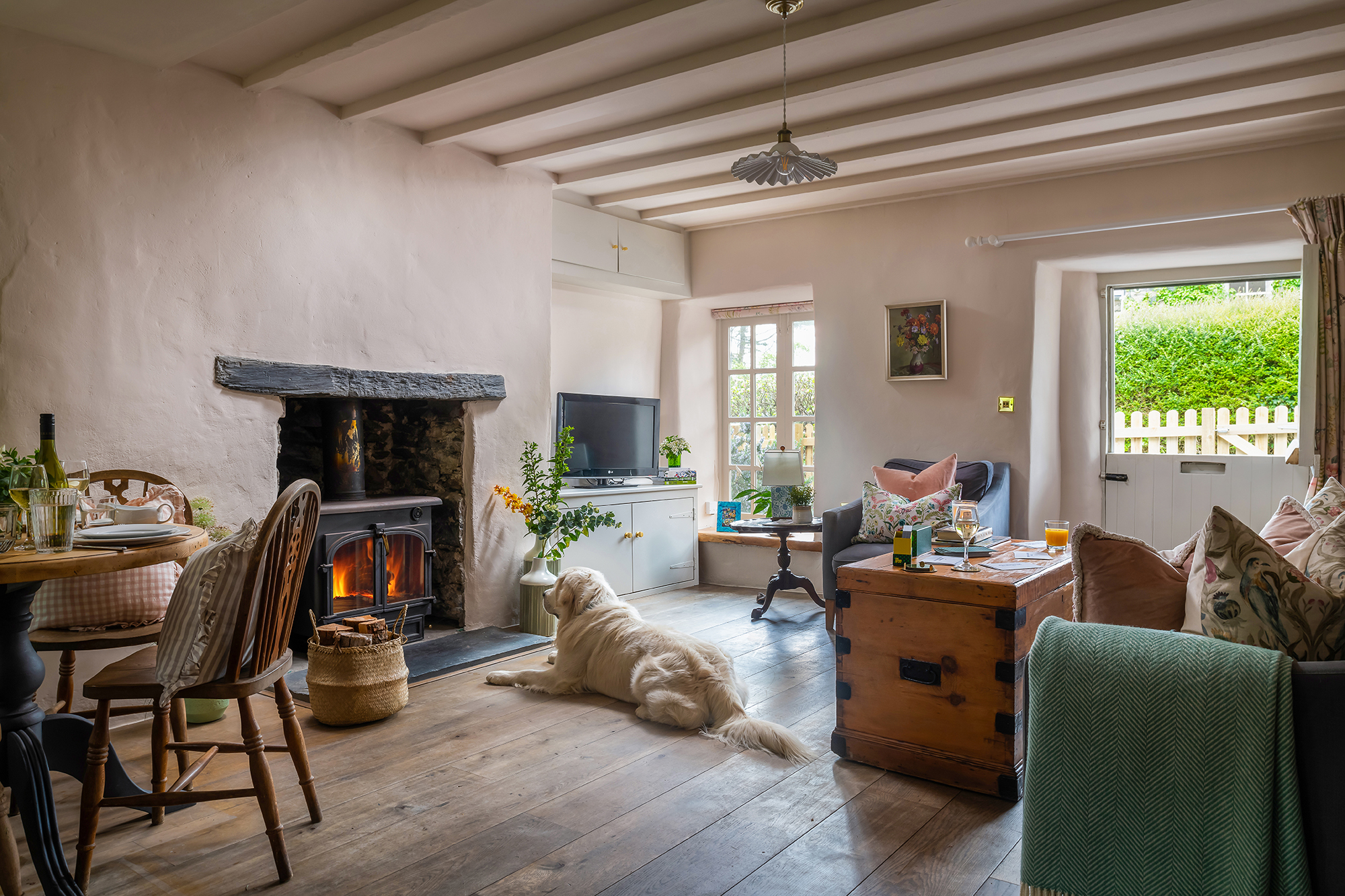 Dog in living room Wales cottage