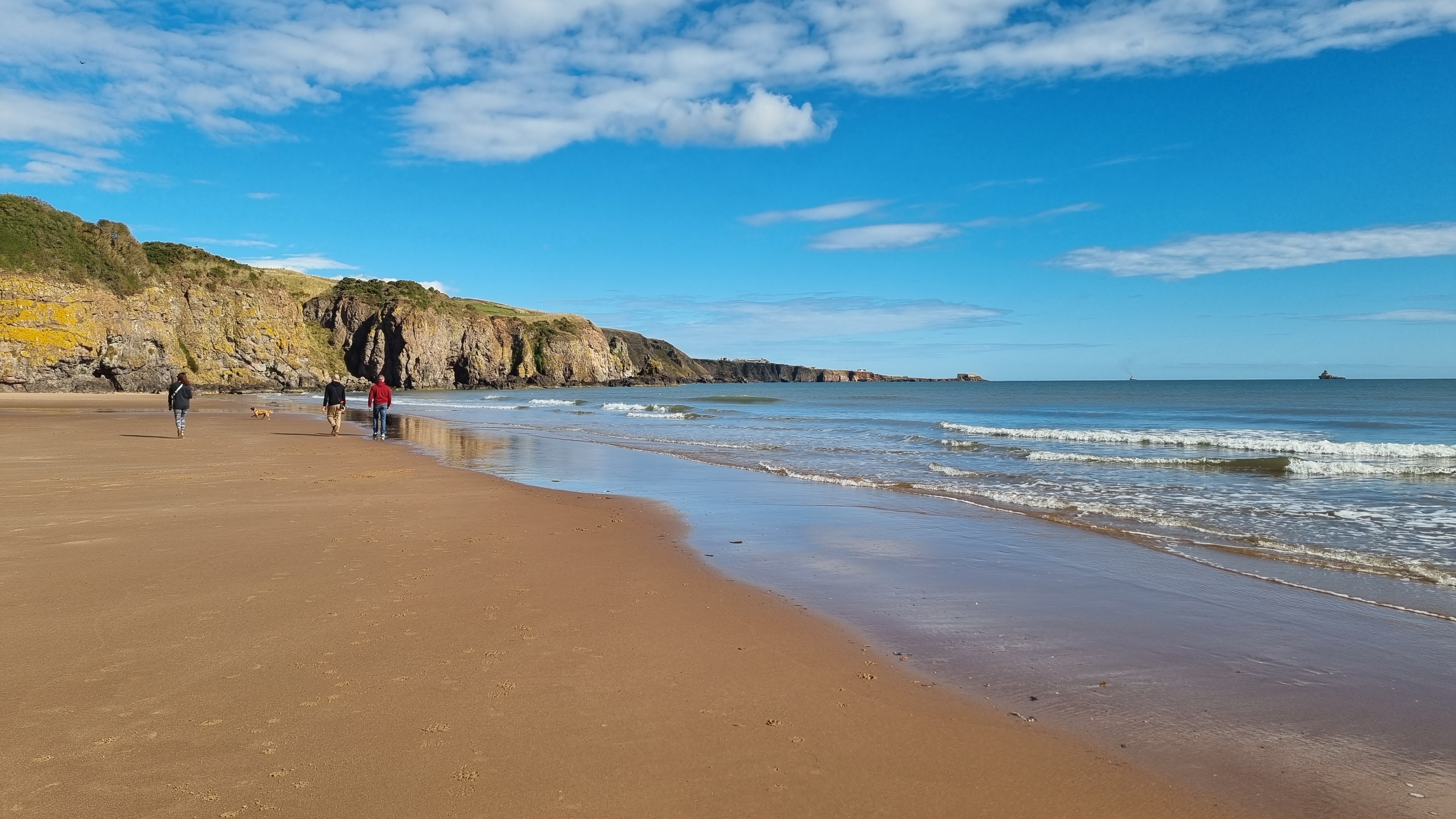 Dog walks on beaches in Scotland