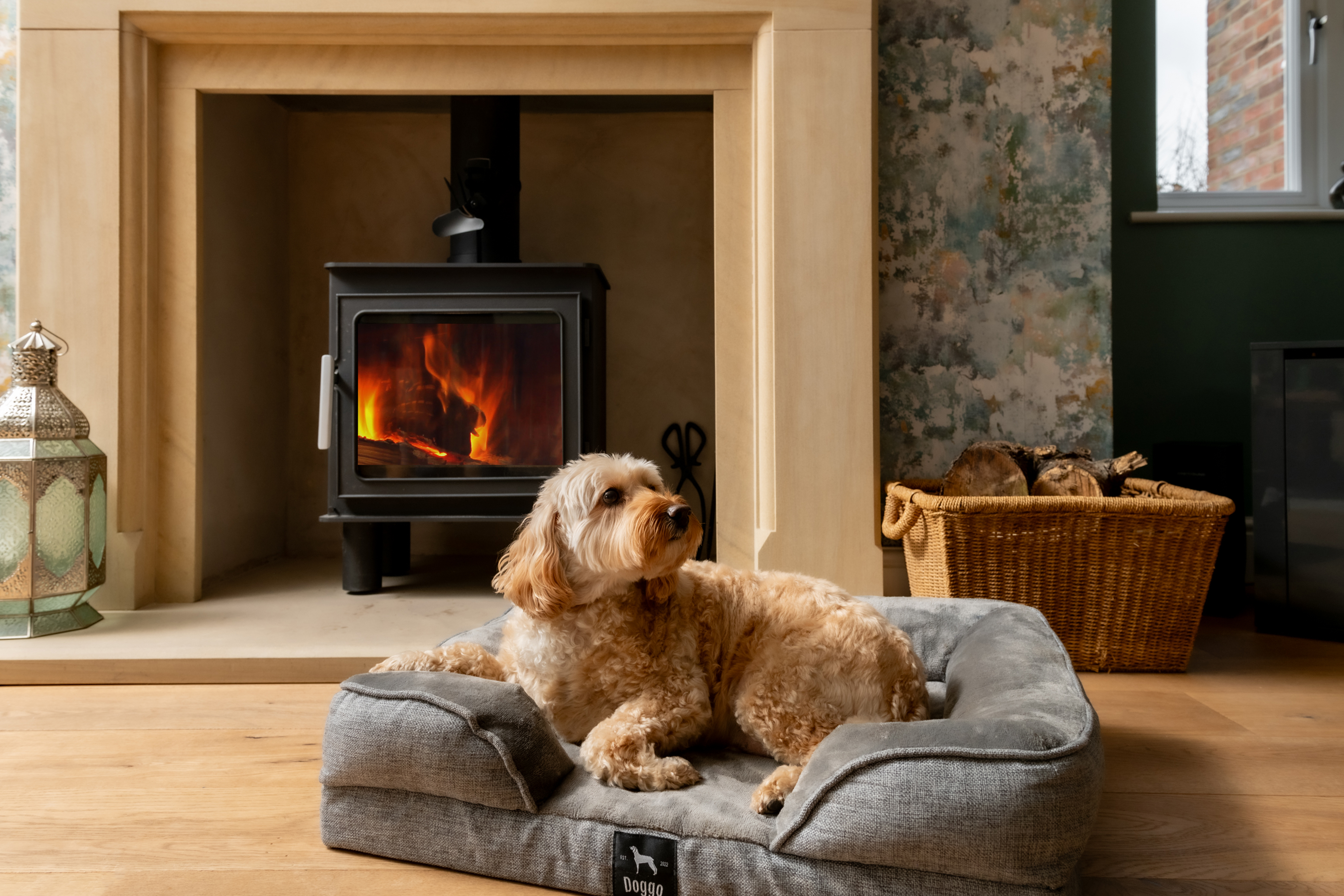 Dog in basket by fireplace yorkshire cottage